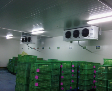 冷凍庫(kù)和冷庫(kù)兩者到底有什么不一樣 冷凍庫(kù)和冷庫(kù)兩者到底有什么不一樣