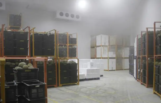 榴蓮放在冷庫(kù)里環(huán)境溫度是多少℃ 榴蓮放在冷庫(kù)里環(huán)境溫度是多少℃