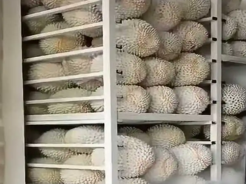 榴蓮放在冷庫(kù)里環(huán)境溫度是多少℃ 榴蓮放在冷庫(kù)里環(huán)境溫度是多少℃