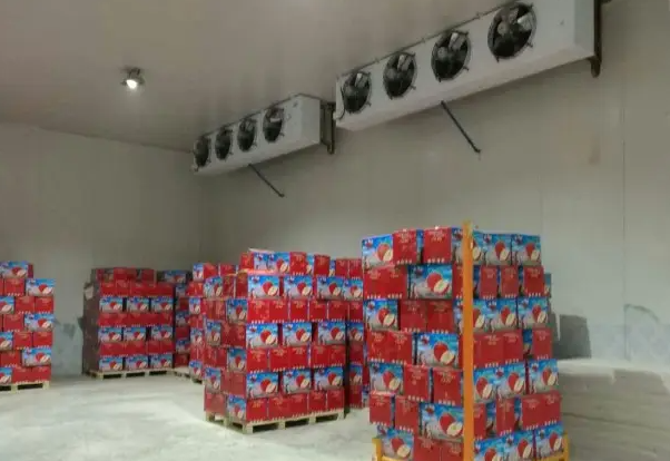 大連蘋(píng)果保鮮冷庫(kù)安裝多少錢(qián)一平方 大連蘋(píng)果保鮮冷庫(kù)安裝多少錢(qián)一平方