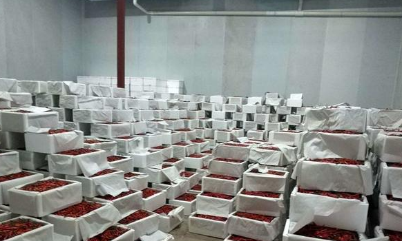 南京辣椒冷庫(kù)保鮮用什么技術(shù)方法