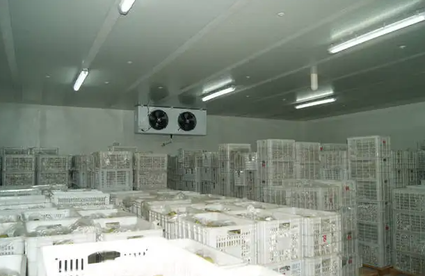 東營(yíng)蔬菜恒溫冷庫(kù)安裝一平米大概多少錢 東營(yíng)蔬菜恒溫冷庫(kù)安裝一平米大概多少錢