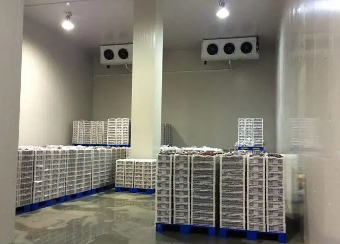 冷凍庫(kù) 冷凍庫(kù)