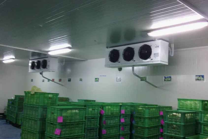 保鮮庫(kù) 保鮮庫(kù)