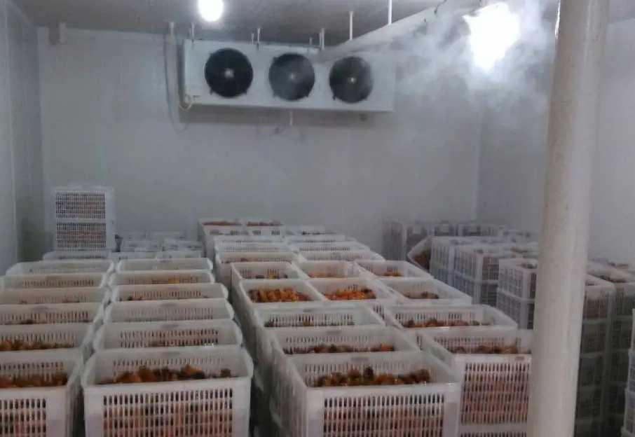 小型冷庫 小型冷庫