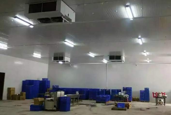 食品冷庫(kù)為什么不推薦建造地下室