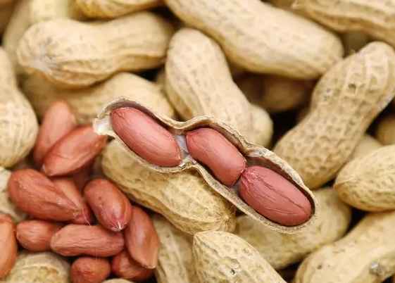 五百立方花生保鮮冷庫(kù)造價(jià)多少錢(qián) 五百立方花生保鮮冷庫(kù)造價(jià)多少錢(qián)