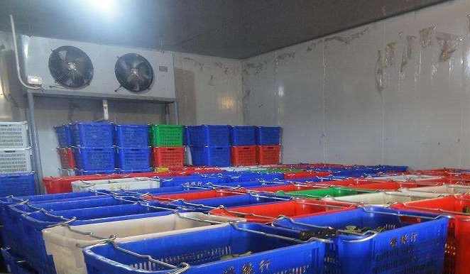 冷庫設(shè)計標準的相關(guān)規(guī)范 冷庫設(shè)計標準的相關(guān)規(guī)范