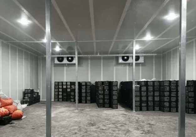 建設(shè)黃瓜氣調(diào)冷庫(kù)多少錢(qián)一平米