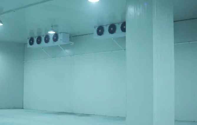 冷庫(kù)節(jié)能改造方案設(shè)計(jì)