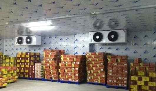 水果冷藏庫(kù)改造優(yōu)化方案 水果冷藏庫(kù)改造優(yōu)化方案