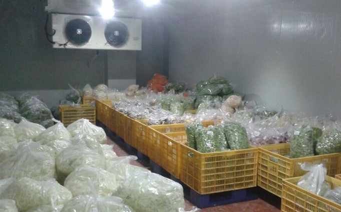 地下蔬菜保鮮庫(kù)建造要求 地下蔬菜保鮮庫(kù)建造要求