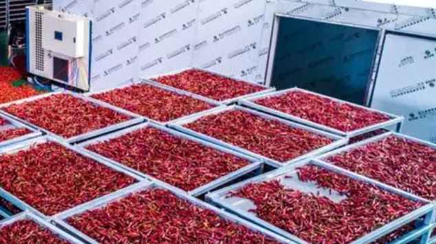 冷庫保鮮辣椒能保存多久 冷庫保鮮辣椒能保存多久