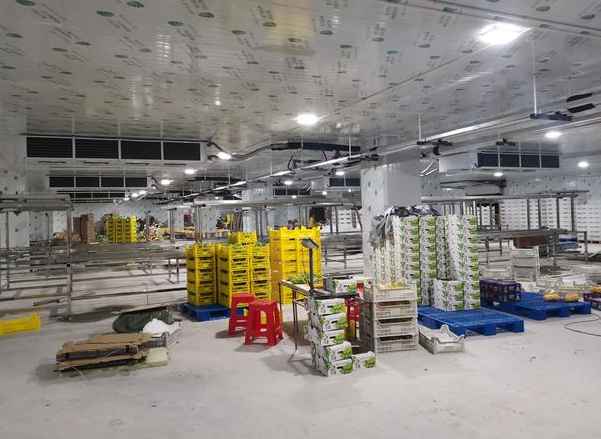 蔬菜冷庫(kù)建設(shè)設(shè)計(jì)規(guī)范要求