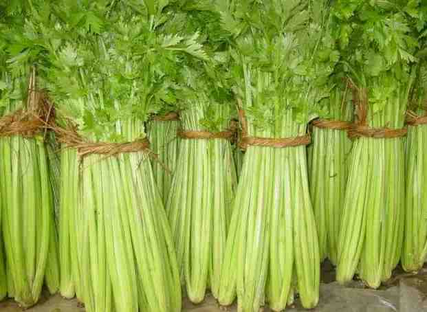 冷庫蔬菜保鮮多少度？