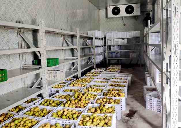  保鮮冷庫和冷藏冷庫的不同之處