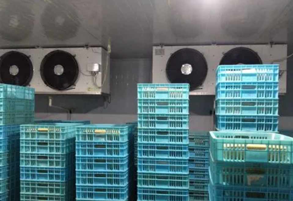 保鮮冷庫(kù)工程設(shè)計(jì)規(guī)范標(biāo)準(zhǔn)要求