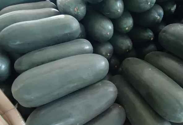 安裝30立方冬瓜冷庫(kù)多少錢(qián) 安裝30立方冬瓜冷庫(kù)多少錢(qián)