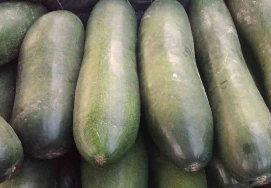 安裝30立方冬瓜冷庫(kù)多少錢(qián) 安裝30立方冬瓜冷庫(kù)多少錢(qián)