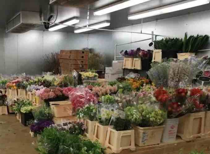 花卉冷庫存儲溫度要求標準