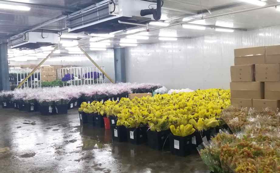 花卉冷庫存儲溫度要求標準