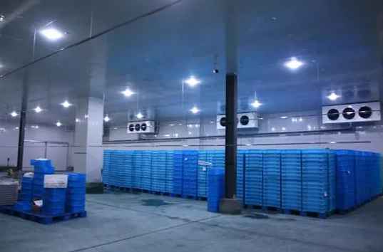 不同冷庫(kù)溫度標(biāo)準(zhǔn)是多少