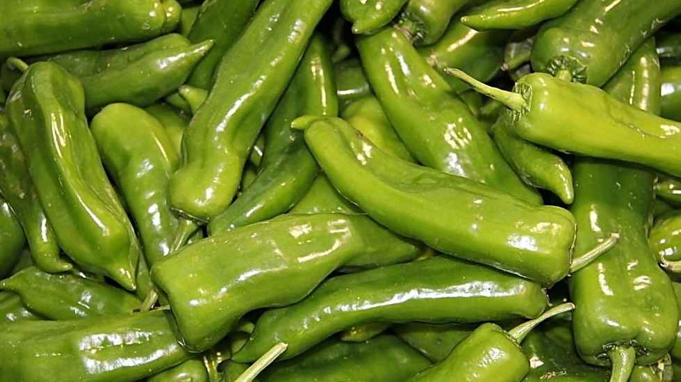 青椒冷庫(kù)保鮮儲(chǔ)存方法 青椒冷庫(kù)保鮮儲(chǔ)存方法