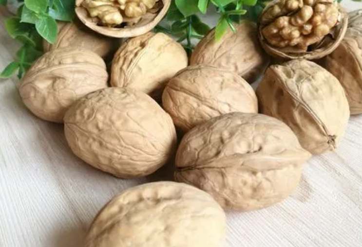 核桃放冷庫(kù)的溫度多少合適