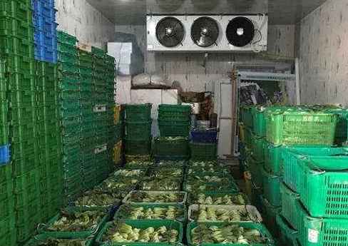 蔬菜冷庫(kù)建設(shè)設(shè)計(jì)規(guī)范要求