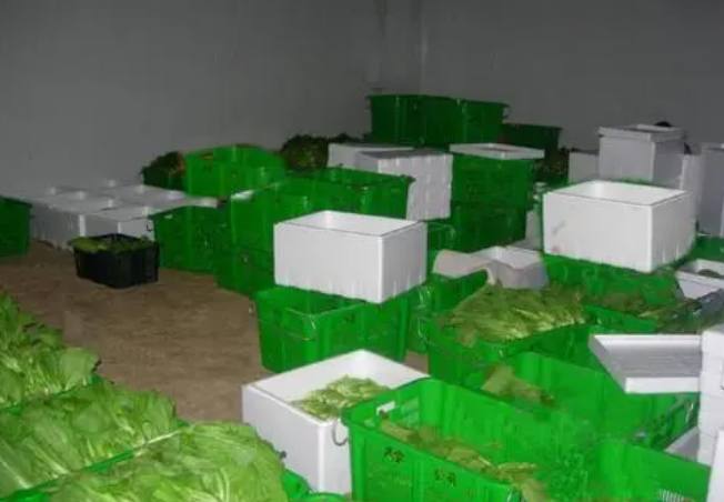 果蔬氣調(diào)冷庫(kù)建造廠家挑選 果蔬氣調(diào)冷庫(kù)建造廠家挑選