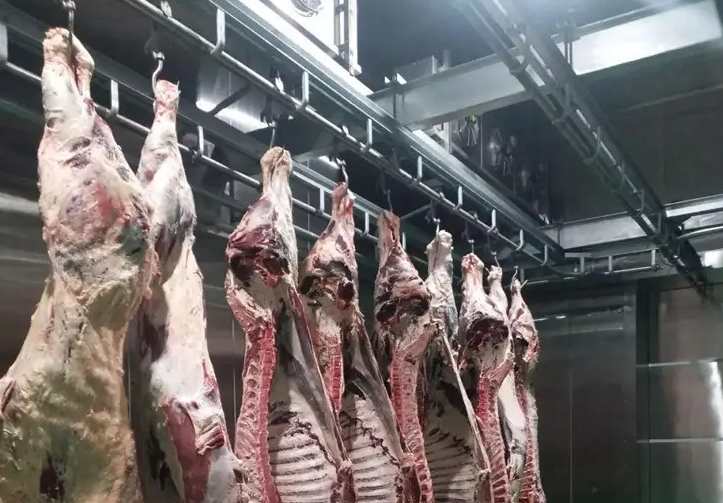 肉類(lèi)冷凍庫(kù)有什么作用 肉類(lèi)冷凍庫(kù)有什么作用