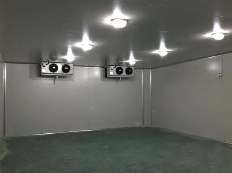 獼猴桃進(jìn)冷庫前注意事項(xiàng)有哪些