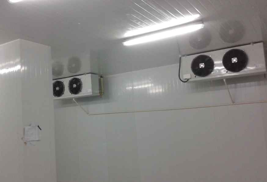 茶葉放冷庫一般設(shè)定多少度合適 茶葉放冷庫一般設(shè)定多少度合適