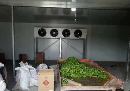 茶葉放冷庫一般設(shè)定多少度合適 茶葉放冷庫一般設(shè)定多少度合適