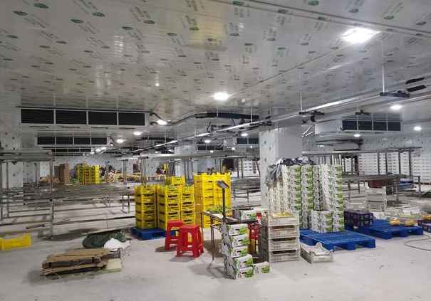 氣調(diào)保鮮庫儲(chǔ)存什么利潤高 氣調(diào)保鮮庫儲(chǔ)存什么利潤高