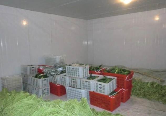 冷庫(kù)內(nèi)部該如何設(shè)計(jì) 冷庫(kù)內(nèi)部該如何設(shè)計(jì)