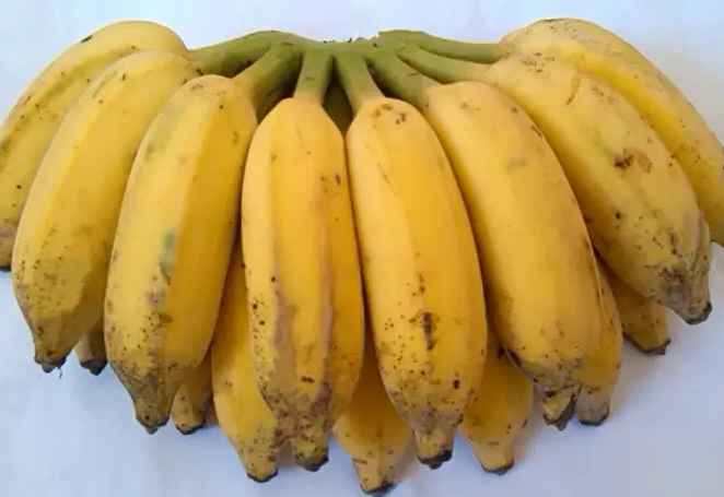 建一個(gè)兩千平方芝麻蕉冷庫得多少錢 建一個(gè)兩千平方芝麻蕉冷庫得多少錢