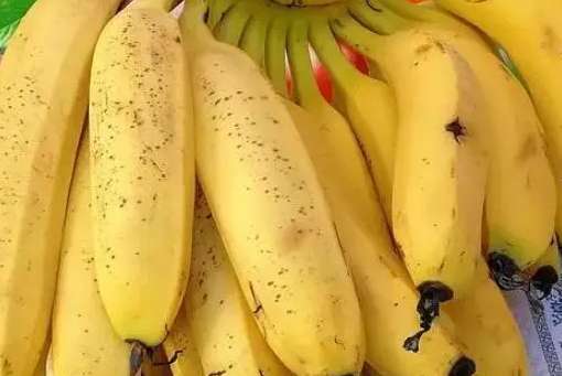 建一個(gè)兩千平方芝麻蕉冷庫得多少錢 建一個(gè)兩千平方芝麻蕉冷庫得多少錢