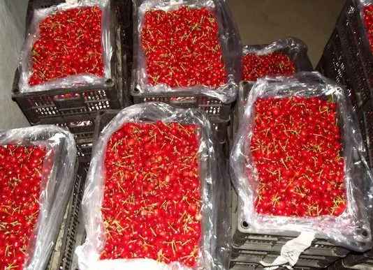 櫻桃在保鮮庫(kù)可以存放多久