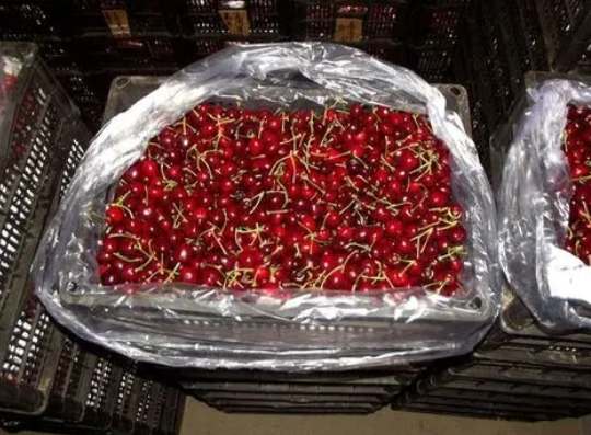 櫻桃在保鮮庫(kù)可以存放多久