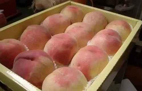 水蜜桃冷庫(kù)保鮮技術(shù)要求有哪些 水蜜桃冷庫(kù)保鮮技術(shù)要求有哪些